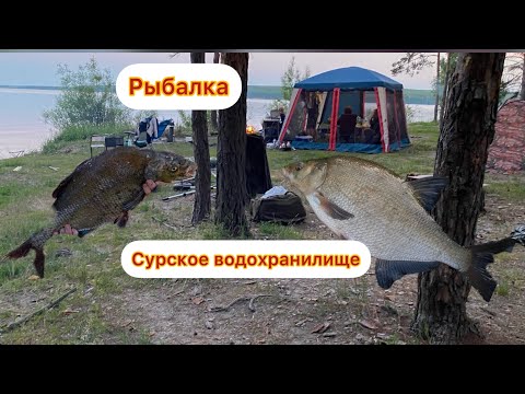 Видео: ДА СКОЛЬКО ЗДЕСЬ ЭТОГО ЛЕЩА?! Рыбалка на ДОНКИ на СУРСКОМ ВОДОХРАНИЛИЩЕ с НОЧЕВКОЙ!