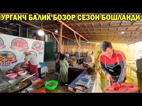 Видео: УРГАНЧ БАЛИК БОЗОР НАРХЛАРИ СЕЗОН БОШЛАНДИ | URGANCH BALIQ BOZORI #baliq