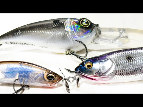 Видео: Советы по ловле окуня в октябре! (День рыбалки на окуня на высокогорном водохранилище)