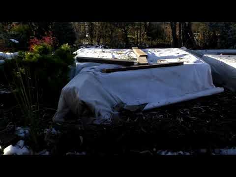 Видео: Финал розового сада. Мои укрытия