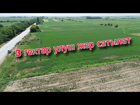 Видео: 3 гектар улуш жер сатылат жолдун боюнда