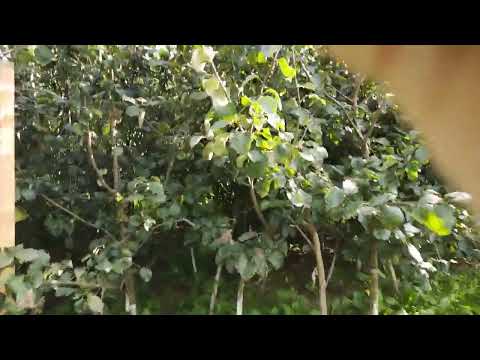 Видео: Рай на Земле. 