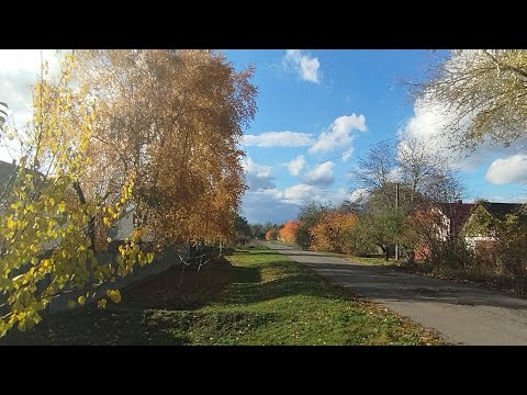 Видео: Цілий день дощ 🌧️, чим займалася/Наші нові мешканці