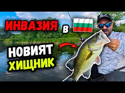 Видео: Американски БАС в България 2025! ВСИЧКО, което трябва да знаеш за риболова на БЛЕК БАС