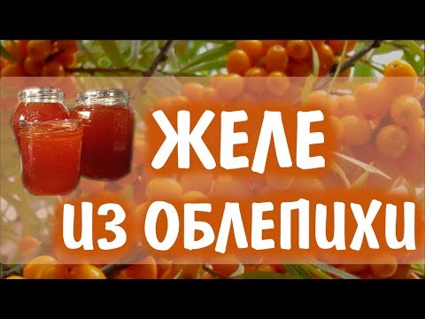 Видео: Желе из облепихи. Полезнейшая вкуснятина