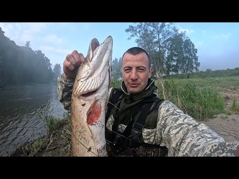 Видео: Поймал ТРОФЕЙНУЮ ЩУКУ! На  РЕКЕ УРАЛЬСКОГО ХРЕБТА. Жарим Рыбу на Костре 