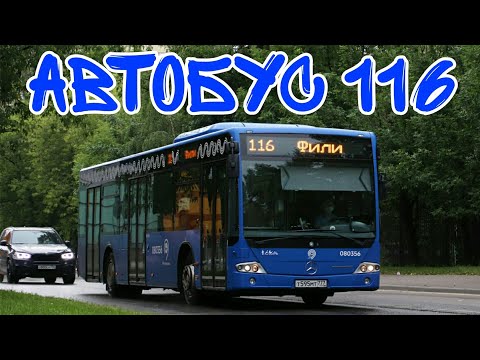 Видео: Автобус 116
