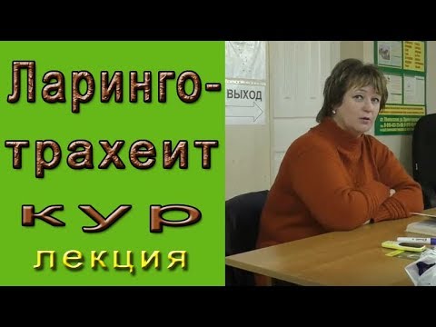 Видео: Отчего возникает ЛАРИНГОТРАХЕИТ кур? Лечение