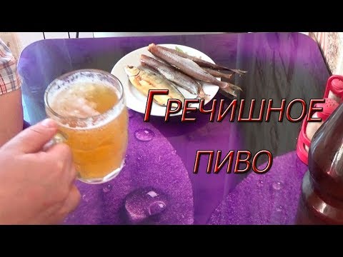 Видео: Гречишное пиво!!! Простой рецепт домашнего пива!!!