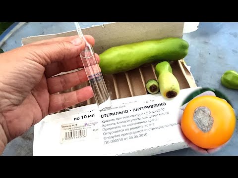 Видео: ВСЕГО ОДНО ОПРЫСКИВАНИЕ ТОМАТОВ И ВЕРШИННОЙ ГНИЛИ НА ПОМИДОРАХ  НЕ БУДЕТ. Кальция хлорид для помидор