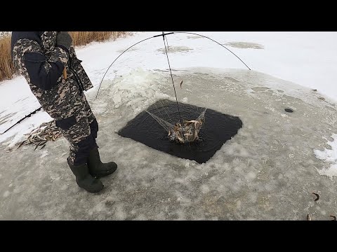 Видео: РЫБАЛКА НА ПАУК-ПОДЪЁМНИК."ЧТО НЕ ПОДЪЁМ-ТО РЫБА"!!! РАЗДАЧА ОКУНЯ НАЧАЛАСЬ!!!