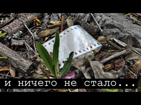 Видео: Заброшенные детские лагеря в Покотиловке (Колос, Веселый). Сковородиновский источник.