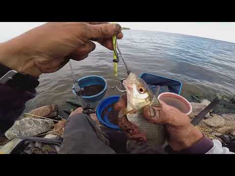 Видео: Рыбалка на южной дамбе Финского залива.  Кубок магазина ИНТЕРФИШ 2018 г