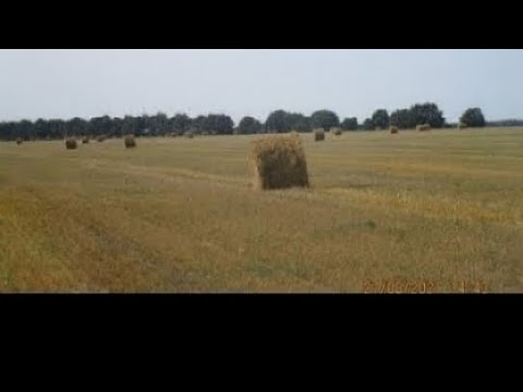 Видео: Прямая трансляция Всё Для огорода , Донат  на таблетки от Пневмонии сюда МИР 2202 2050 7022 3778