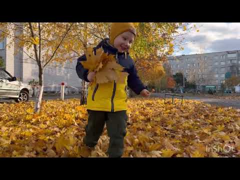 Видео: Свекровь/Наследство/Старший сын и наши будни.