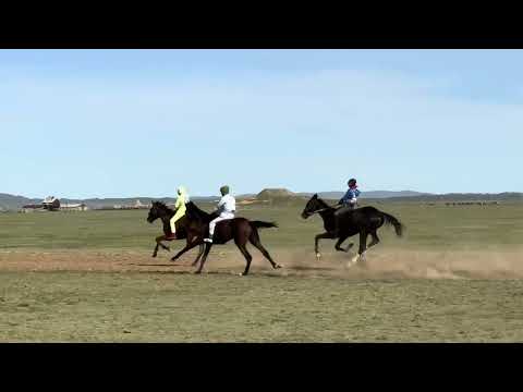 Видео: Аппаз ауылы Құнан бәйге 2024