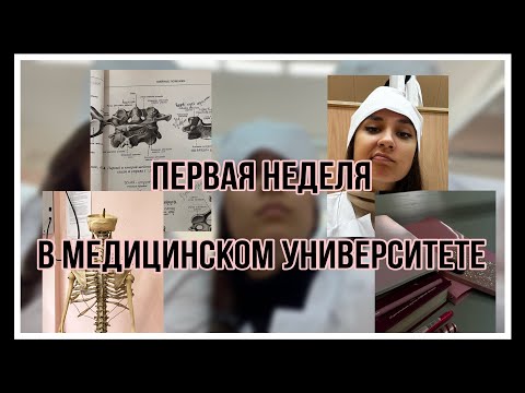 Видео: Первая неделя учебы в медицинском университете!