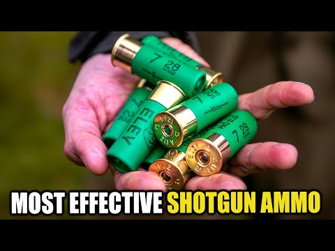 Видео: 7 самых ЭФФЕКТИВНЫХ патронов для дробовика в мире для самообороны!