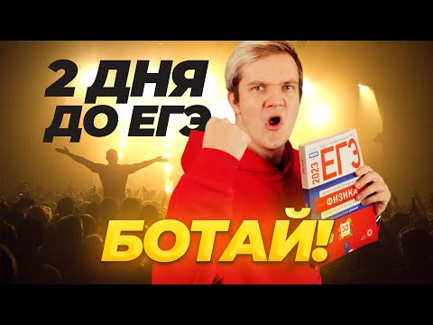 Видео: Не сдавайся! Осталось 2 дня до ЕГЭ по физике! Всё получится у тебя