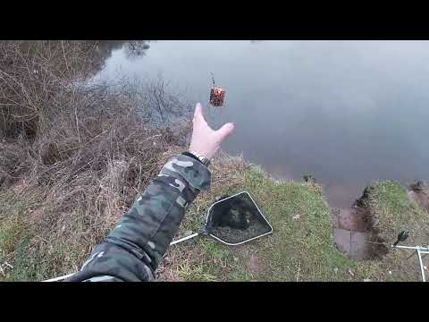 Видео: Клев Карпа в феврале, и опасность клещей в Германии.
