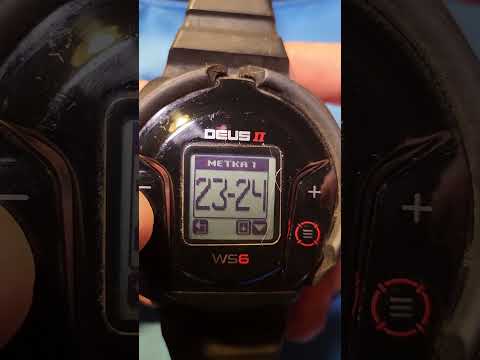 Видео: Изучаем WS6. Быстрая навигация по меню в WS6 Master.  Настройки WS6. #metaldetecting