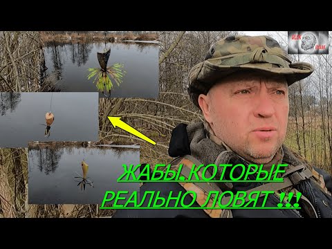 Видео: ЖАБКИ,КОТОРЫЕ РЕАЛЬНО ЛОВЯТ,ЛУЧШЕ ДРУГИХ !!!