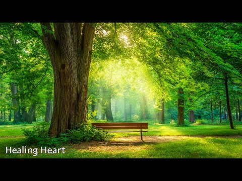 Видео: Нежная лечебная музыка 🌿 Для здоровья и успокоения нервной системы, глубокий релакс