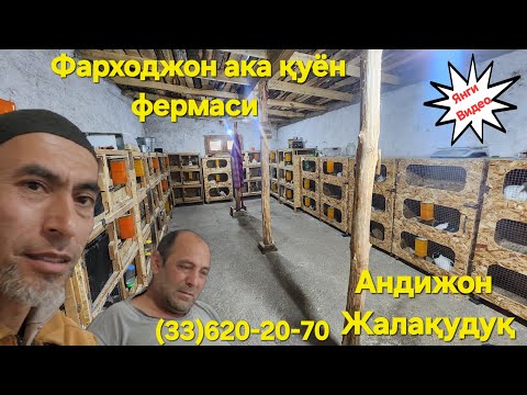 Видео: Фарходжон ака қуён фермаси. Янгиси