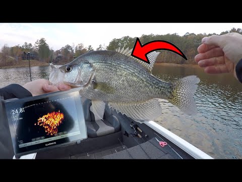 Видео: Зимняя ловля краппи с помощью Livescope — Ведоуи, Алабама, ноябрь 2024 г.