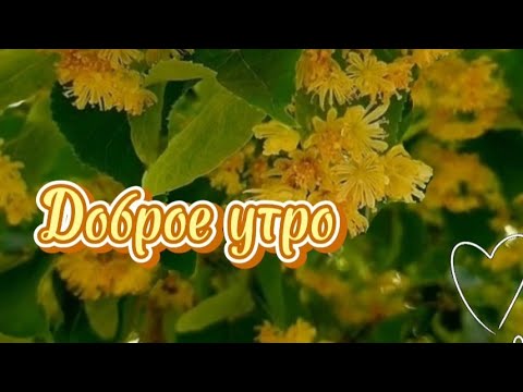 Видео: Доброе утро. 😘Красивая песня и фото прошлых лет.🥰Хорошего дня.