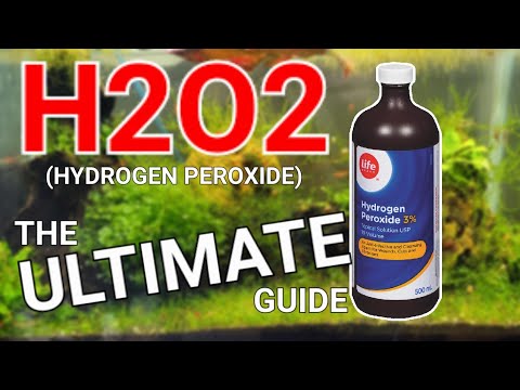 Видео: Чудодейственное средство от всего в вашем аквариуме! (вроде как)