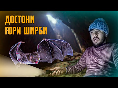 Видео: ҚИСМИ 2 | FOРИ (ШИРБИ) 😱 ЯКУМБОР ИХЕЛ ТАРСИДАМ! (Ajam STAN)