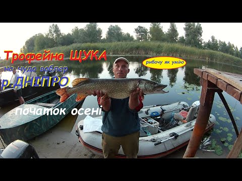 Видео: ТРОФЕЙНА щука і не тільки тролінгом на чудо воблер.