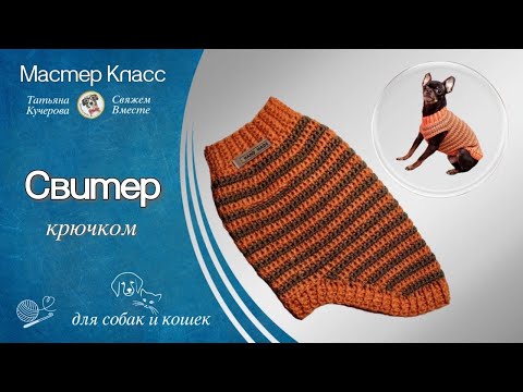 Видео: Как связать простой свитер крючком для собак и кошек, все части