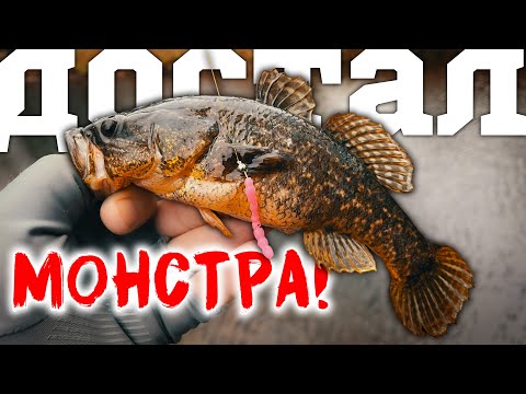 Видео: 🤫ПУЗАНЫ из ПАРКОВОЙ ТРУБЫ! НАБОР ОТВЁРТОК в деле! #мормышинг