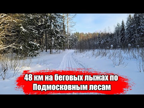 Видео: На беговых лыжах по туристической лыжне Берёзки-Дачные - Некрасовская