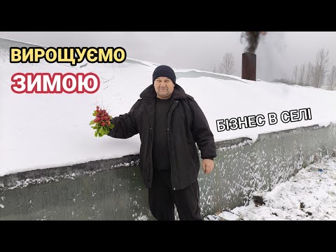 Видео: Що в нас в теплиці взимку. Палимо піч щоб прибрати сніг