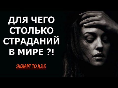 Видео: ДЛЯ ЧЕГО СТОЛЬКО  СТРАДАНИЙ В МИРЕ [Э.  Толле, озв.Никошо]