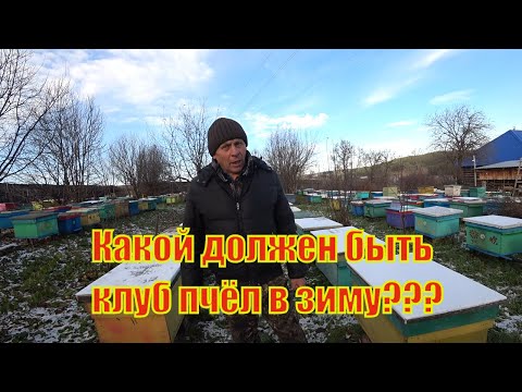 Видео: КАК ДОЛЖЕН ПРАВИЛЬНО СФОРМИРОВАН КЛУБ В ЗИМУ