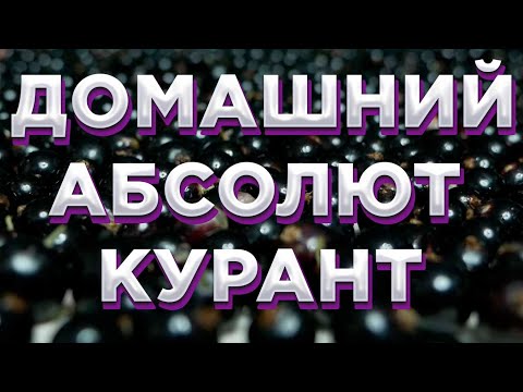 Видео: СМОРОДИНОВАЯ ВОДКА В ДОМАШНИХ УСЛОВИЯХ