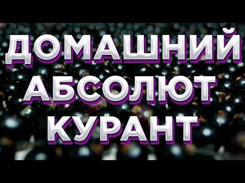 Видео: СМОРОДИНОВАЯ ВОДКА В ДОМАШНИХ УСЛОВИЯХ