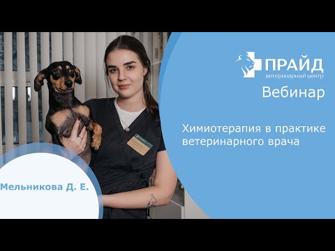 Видео: Химиотерапия в практике ветеринарного врача