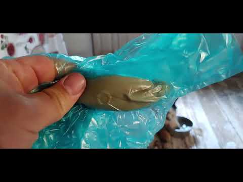 Видео: поехали лечить пироплазмоз , а достали ракету из желудка ! 1 день из жизни #ХАСКИ  Барсы