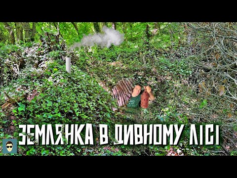 Видео: ВИЖИВАННЯ В ЛІСІ  -  ЗЕМЛЯНКА ЗА ДЕНЬ