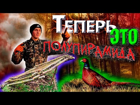 Видео: Трофеи 2025. СУПЕР ЛОВУШКИ в ДЕЛЕ! Новая ловушка