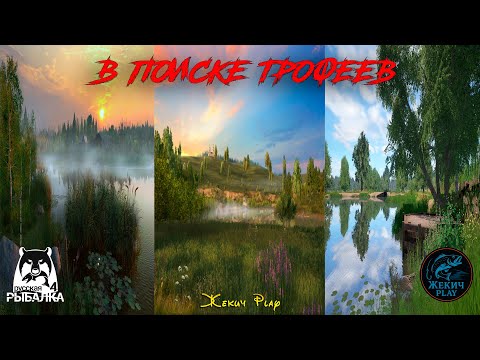 Видео: ЛОВИМ ТРОФЕЕВ на РАЗНЫХ ВОДОЕМАХ | РУССКАЯ РЫБАЛКА 4 | СТРИМ