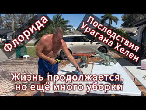 Видео: Флорида. Последствия Урагана Хелен