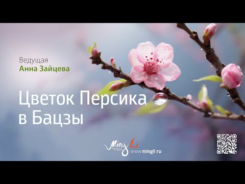 Видео: Цветок Персика в Бацзы