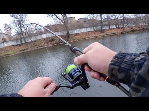 Видео: СПИНИНГ В ДУГУ - РЫБАЛКА НА УЛЬТРАЛАЙТ!