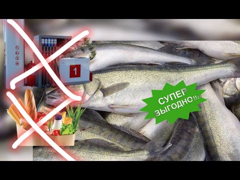 Видео: Окупиться ли рыбалка в 2025?
